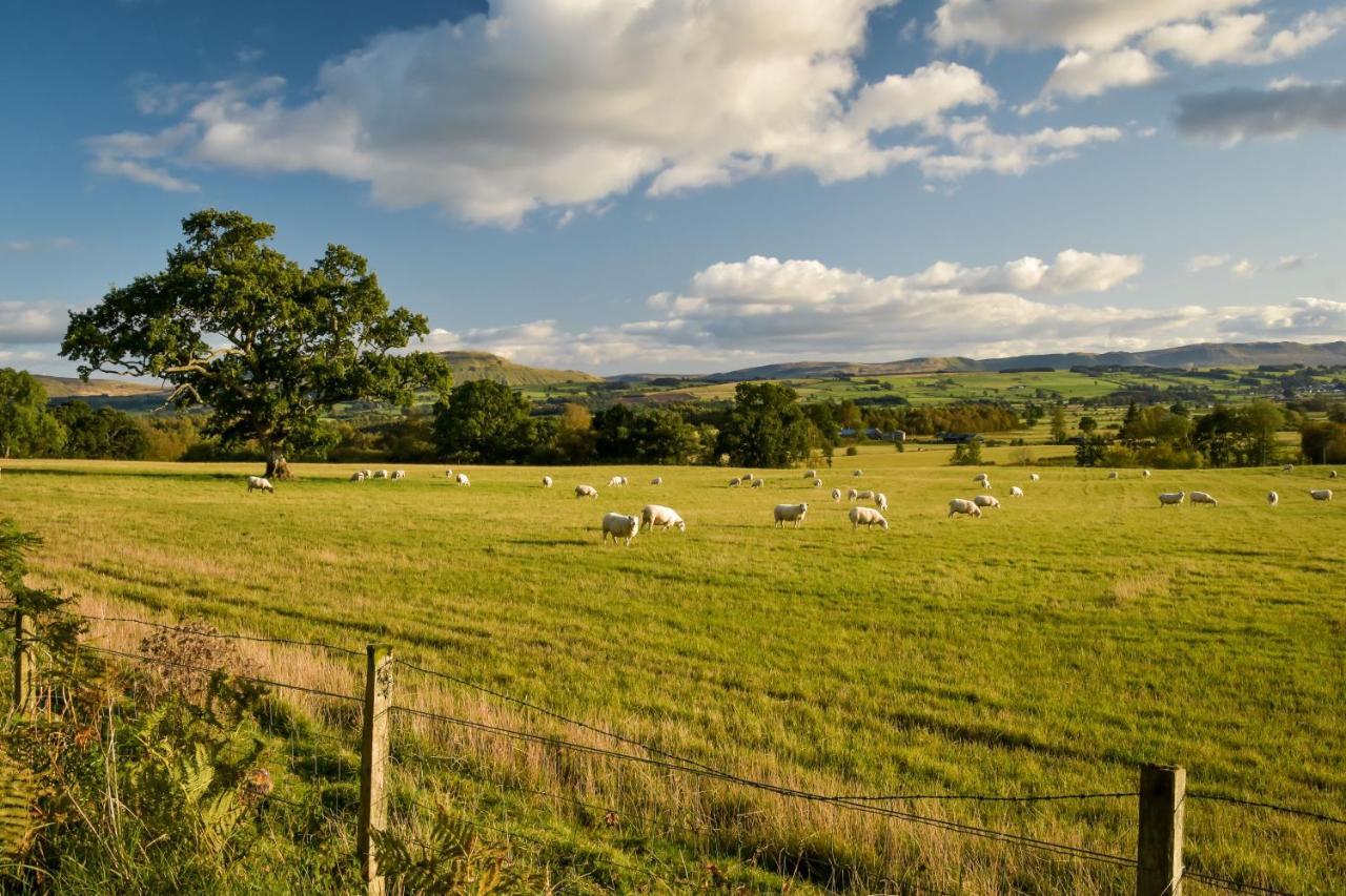 Cardross Holiday Cottages Arnprior المظهر الخارجي الصورة